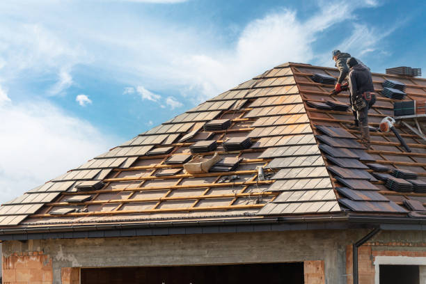 Best Roof Moss and Algae Removal  in Locust Valley, NY
